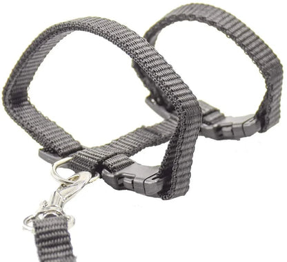 Kitten Cat Harness Leash Set Walking Escape Proof Adjustable Nylon Halter Collar Harness for Cats Puppy Rabbit Pet Accessories