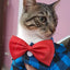 Bowtie Dog Blouse Classical Breathable Plaid T-Shirts Summer Dog Clothes for Small Dogs Puppy Large Cat Vest Chihuahua Yorkies