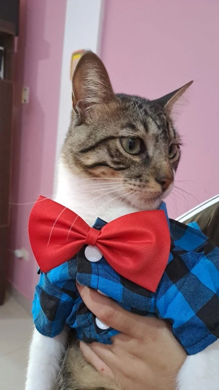 Bowtie Dog Blouse Classical Breathable Plaid T-Shirts Summer Dog Clothes for Small Dogs Puppy Large Cat Vest Chihuahua Yorkies