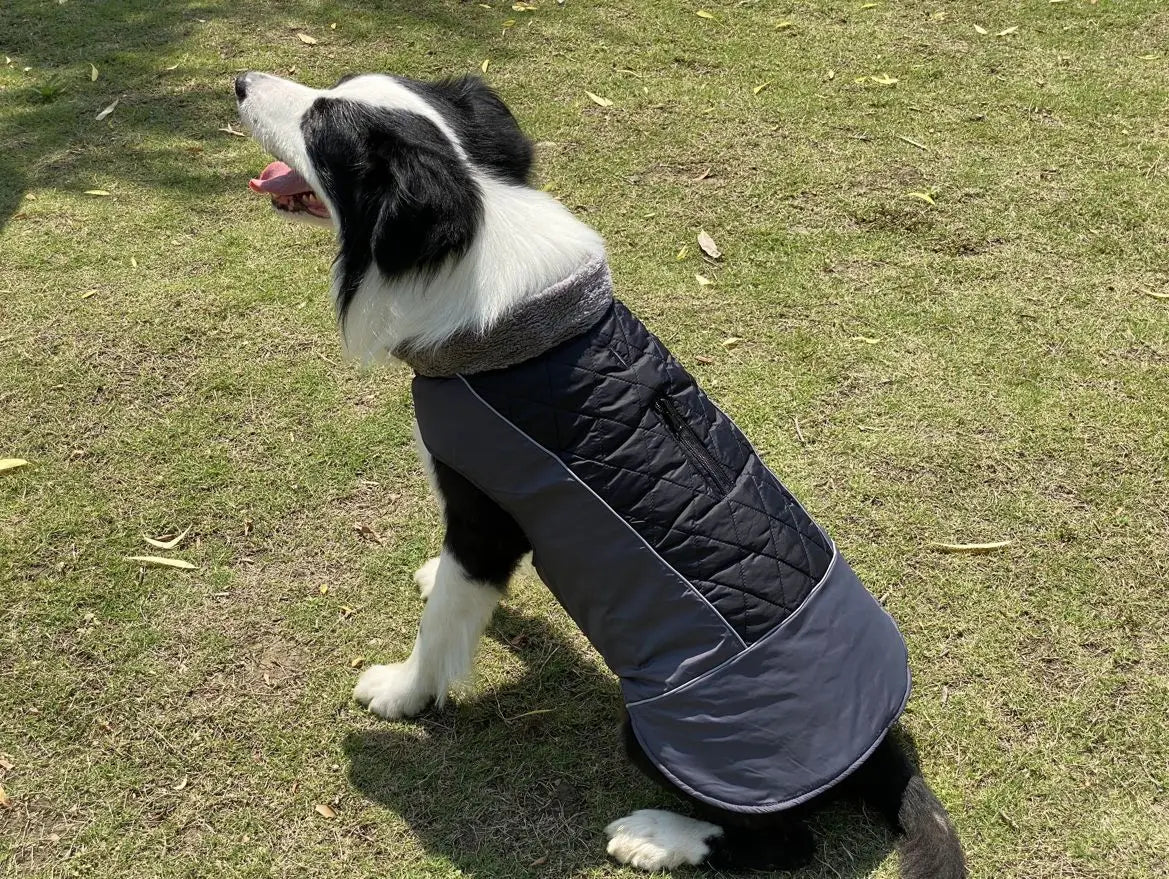 Warm Fleece Collar Dog Coat Jacket Double-Sided Winter Dog Coat Waterproof Puppy Clothing For Small Medium & Large Dogs Supplies