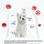 Extendable Pet F le a Collar Necklace Personalized A n ti Fl ea and Ti ck Big Dog Puppy Cat An ti-Fl ea Collar T ic ks Dogs