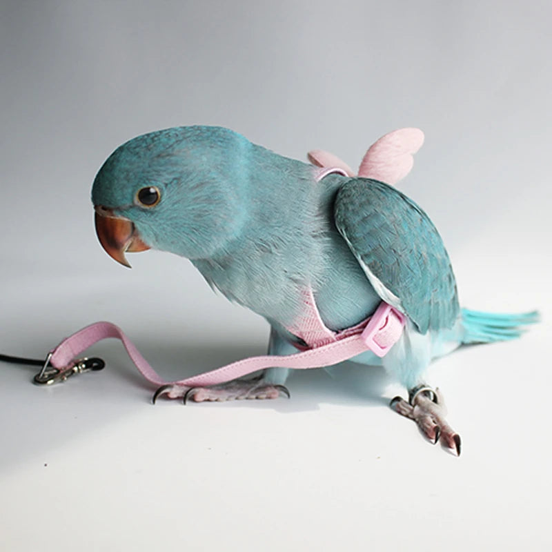 Pet Parrot Harness Adjustable Elastic Nylon Traction Rope Parrot Bird Flying Training Harness Leash Set for Small Medium Parrot