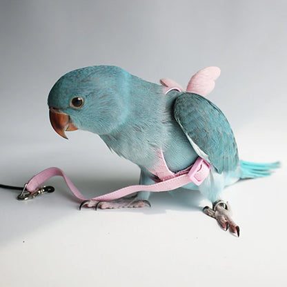 Pet Parrot Harness Adjustable Elastic Nylon Traction Rope Parrot Bird Flying Training Harness Leash Set for Small Medium Parrot