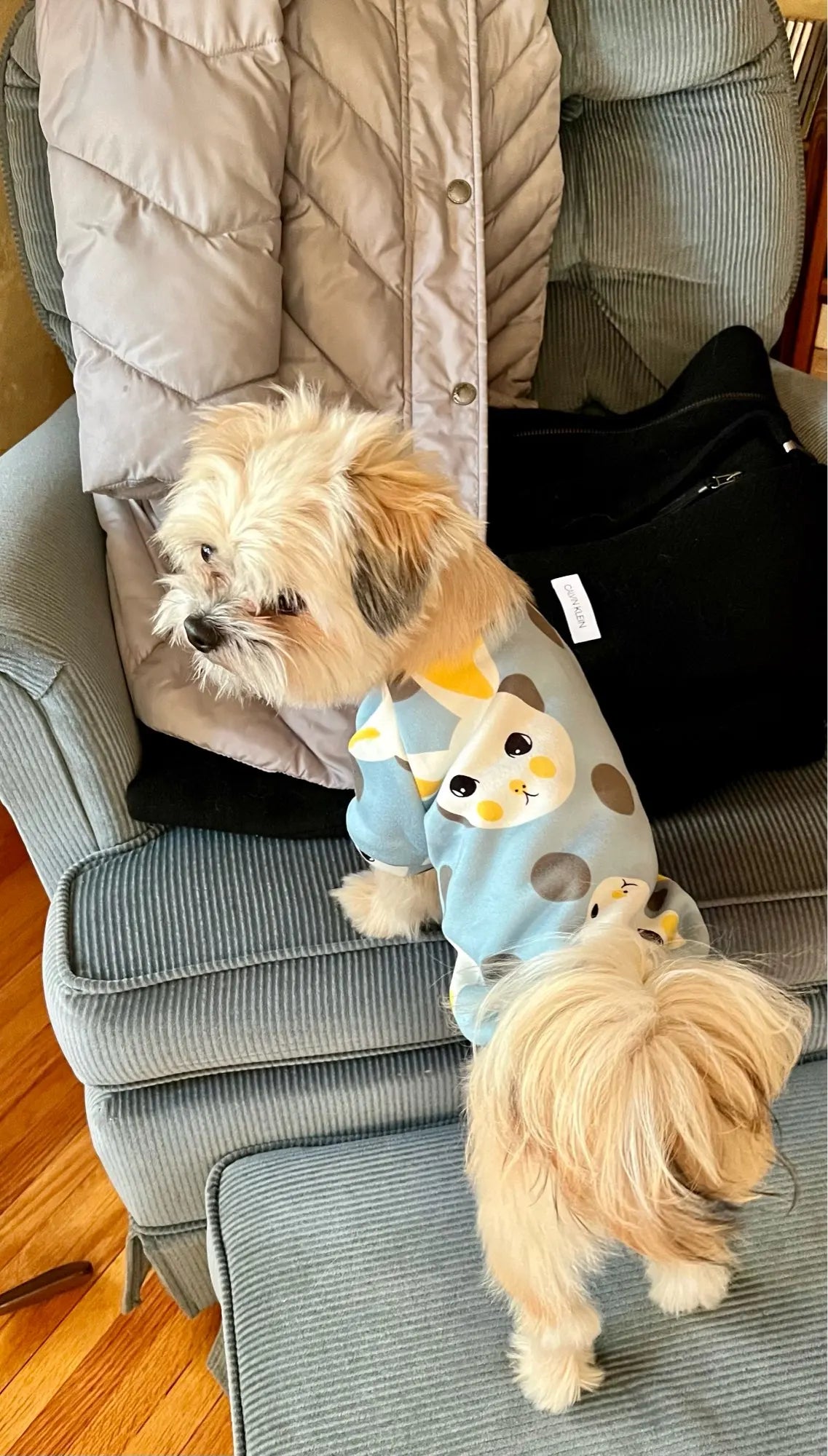 Xs Dog Clothes for Small Dogs Girl Puppy Clothing for Small Dogs Boy Cat Jacket Personalise Pet Shirts for Pug Chihuahua Bulldog