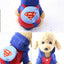 New Dog Clothes Autumn Winter Pet Products Pets Coats Soft Cotton Hoodies For Small Dogs Chihuahua Clothes Cartoon Pet Outfit