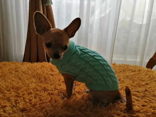 Warm Dog Clothes Knitted Clothes for Dogs Chihuahua Sweater for Small Dogs Winter Clothes for Sphinx Cat Dog Sweater for York