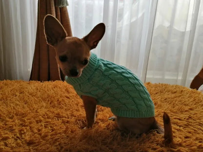 Warm Dog Clothes Knitted Clothes for Dogs Chihuahua Sweater for Small Dogs Winter Clothes for Sphinx Cat Dog Sweater for York
