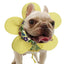 Dog Cooling Bandana Pet Summer Cool Neck Collars Cooling Reusable Petal Shape Adjustable Dog Neck Wrap For Bulldog Summer Hot