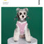 Dog clothes for small dogs Summer Comfortable Breathable T-shirt Puppy Cats Clothing Hooded Dog costume Summer chihuahua clothes