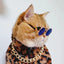 Anti-slip Cat Sunglasses Pet Accessories Small Dog Sun Glasses Classic Retro Circular Glasses for Kitten Photos Props Cosplay