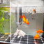 Transparent Acrylic Fish Tank Isolation Board Aquarium Grid Separation Separator Portable Water Supply Acrylic Divider Terrarium