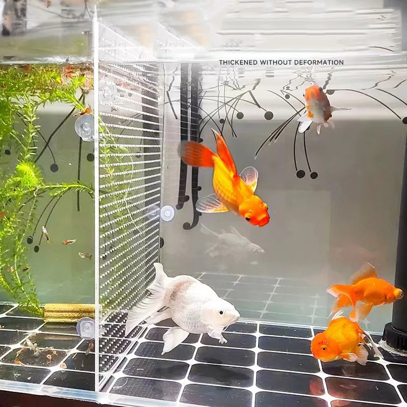 Transparent Acrylic Fish Tank Isolation Board Aquarium Grid Separation Separator Portable Water Supply Acrylic Divider Terrarium