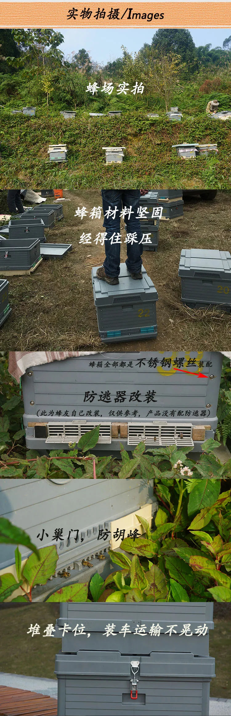 Plastic beehive