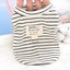 Summer Dog Clothes Pet Dog Vest Dress Dog Knitted Striped Dog T Shirt Chihuahua Bichon Clothing Kitten Puppy Girls Dog Costume