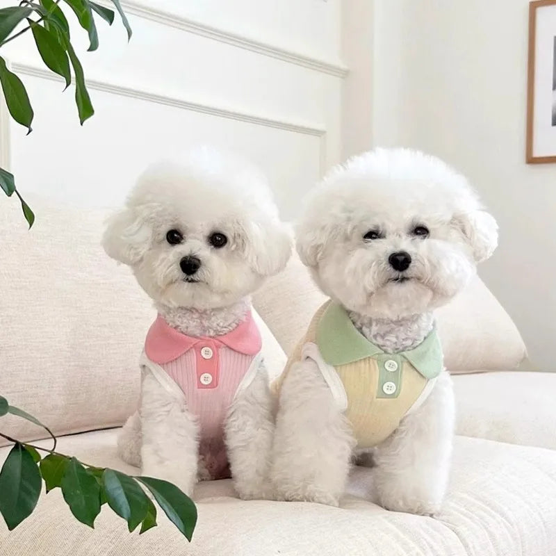 Summer Dog Polo Shirt Puppy Vest Dog Clothes for Small Dogs Cat Dog Cooling Shirt Chihuahua Yorkshire Bichon Girls Dog T-Shirt