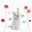38/70CM Pet Anti Flea Ticks Antiparasitic Dog Cats Collar Protection Retractable Comfortable Breakaway Collars Kittens Large Dog