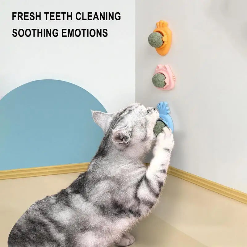 Catnip Wall Spin Ball Catnip Ball Toy Edible Cat Catnip Toys Promotes Digestion Enhances Appetite Wall Cat Lick Ball for Cat