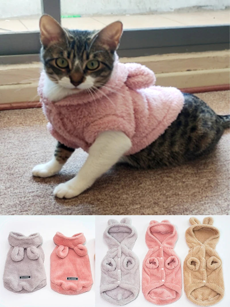 Clothes For Cat Sphinx Jacket Cat Clothes Egyptian Kitten Clothing Dog Hoodie Yorkshire Sweater Puppy Pet Chihuahua Hairless Xs