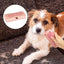 Professional Pet Deshedding Brush Ergonomic Pet Groom Brush Multifunctional Pet Groom Brush Deshedding Grooming Tool For Puppy