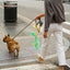 Poop Bag Holders For Es Waste Bag Carrier For Lightweight Hand Free Dog Poop Clip Dog Waste Bag Holder Dog Poop Bag Carrier For