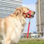 Nylon Dog Muzzle for Small Medium Large Dogs Adjustable Anti Barking Biting , Control Pet Leader Dog Head Collar Halter Leash