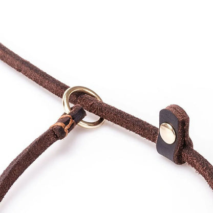 Soft Slim Genuine Leather Dog Slip Lead Control Leash for Small Dogs No Pull Pet Puppy Training Choke Collar P Chain Slip Leash