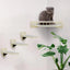 4 Pieces Wall Mounted Cat Climbing Shelves Set Wooden Platform Corner of Wall with Cat Small Jumping Platform Kitty Playing