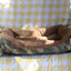 Pet Dog Bed Clearance 2025 Non Use Limited Stock Small Medium York Dog Sleeping Napping Mattress Winter Warm Home