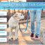 Extendable Pet F le a Collar Necklace Personalized A n ti Fl ea and Ti ck Big Dog Puppy Cat An ti-Fl ea Collar T ic ks Dogs