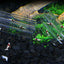 Glass Acrylic Aquarium Decoration Fish Shrimps Shelter House Pottery Scorpion House Canister Simulation Stone Fish Tank Ornament