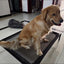 Elevated Bed For Dogs Folding Pet Camping Bed Cat Dog House Portable Removable Washable Cats Kennel Puppy Beds Dog Accessories