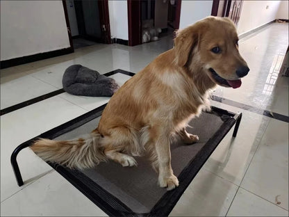 Elevated Bed For Dogs Folding Pet Camping Bed Cat Dog House Portable Removable Washable Cats Kennel Puppy Beds Dog Accessories