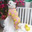 Dog Jumpsuit Puppy Dog Onesies Clothes Cat Dog Soft Pajamas Cute Duck Printed Pet Shirt Bodysuits for Teddy Pomeranian Apparel
