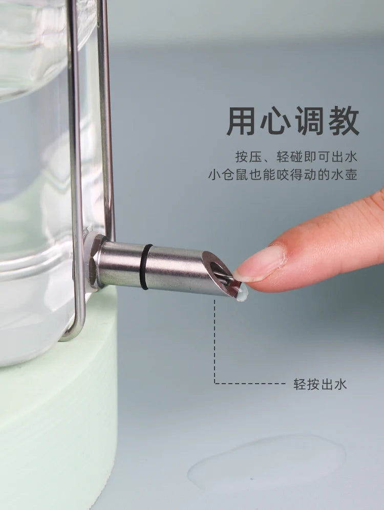 Fine Needle Silent Totoro Striker Kettle Pet Parrot Hamster Drinking Kettle Flower Branch Squirrel Bite Proof Glass Feeder