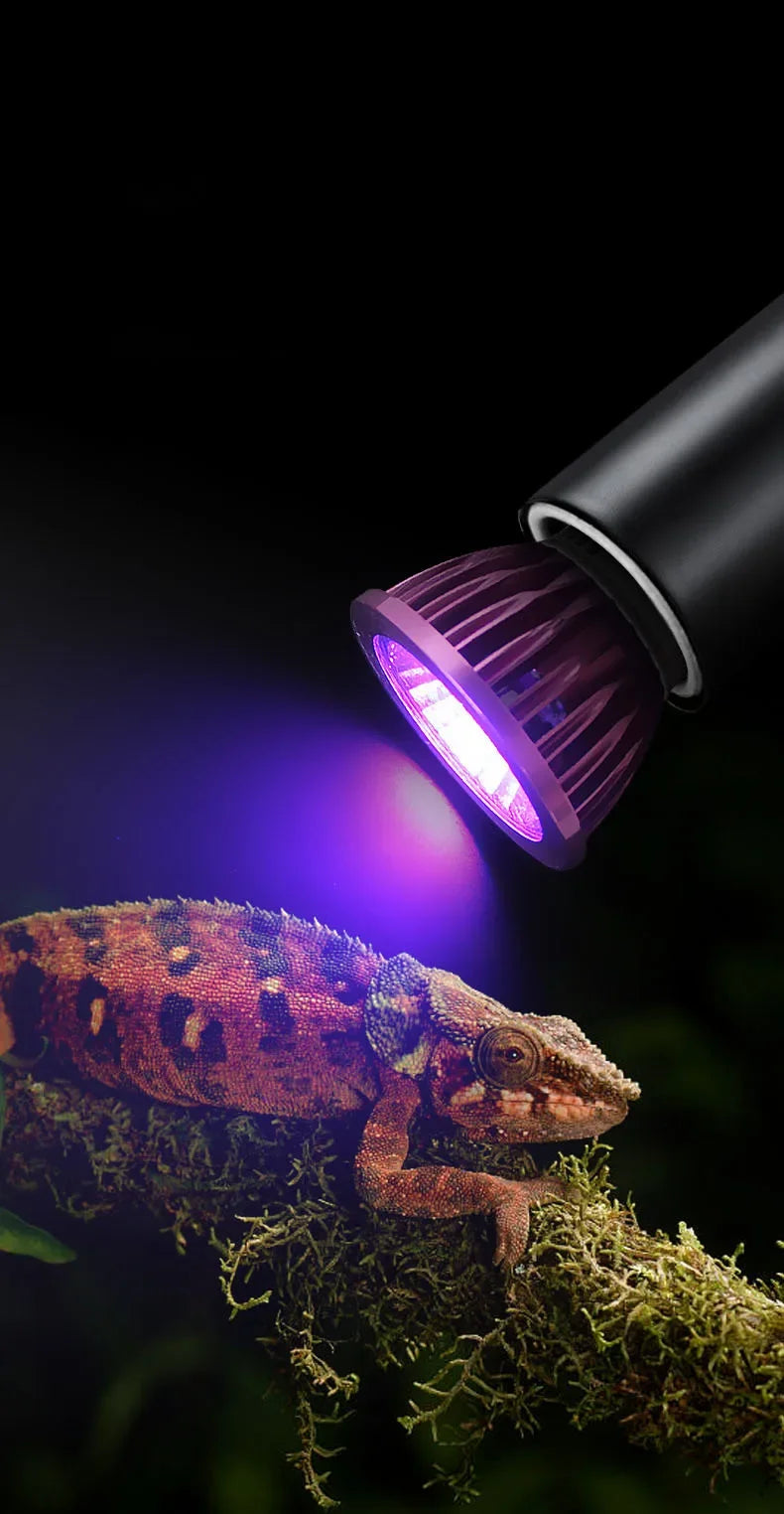 Reptile 110/220V Night Lamp Imitation Moonlight Light Night Sleep Lighting Lamp for Turtle Lizard Snake Reptile Amphibian