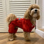 Dogs Raincoat Adjustable Puppy Dog Raincoat Waterproof 4 Legs Raincoat for Small Dogs Outdoor Pet Poncho with Reflective Strap