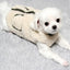 Winter Fleece Dog Clothes Pet Dog Coat and Scarf Set Chihuahua Bichon French Bulldog Costume Puppy Vest Pet Cardigan Clothing
