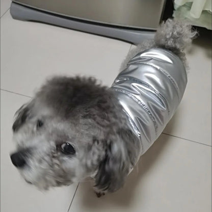 Puppy Pet Dog Clothes Outdoor Windproof Waterproof Leather Dog Coat Winter Warm Padded Jacket for Dogs and Cats in Cold Weather