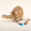 Pet Toy Mice Cats Catnip Toys Interactive Fun Plush Mouse Cat Toy For Kitten Colorful Cute Plush False Mouse Pet Cat Accessories