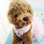 10PCS Pets Accessaries Dogs Cats Princess Flower Lace Dress For Pet Wedding Party Spring Summer small Teddy girl ropa para perro