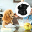 Elevated Cat Food Bowl Tilted Food Dish For Indoor Cats Non-slip Pet Food Bowls Tall Cat Feeding Bowls For Prevent Neck Fatigue