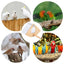 Parakeet Nesting Box Wood Bird Cage House Easy To Clean Transparent Bird Nesting Box For Budgie Bird Breeding Box