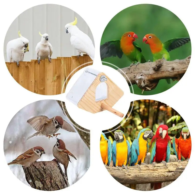 Parakeet Nesting Box Wood Bird Cage House Easy To Clean Transparent Bird Nesting Box For Budgie Bird Breeding Box
