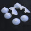 10Pcs/lot Black Aquarium Suction Cup Filter Air Pump Water Pump Holder Sucker for Fish Tank Pump Suction Cups For Glass Surface