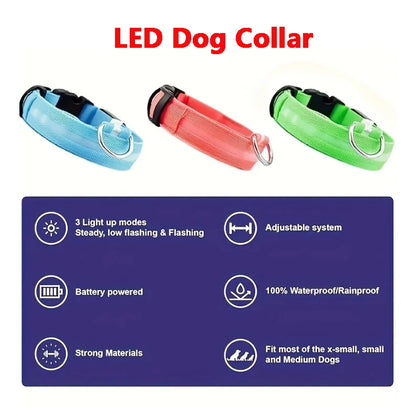 Light Up Dog Collar, Glow LED Dog Collar Flashing Night Walking Collar Waterproof for Small Medium Large Dogs