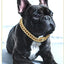 Dog Chain Diamond Collar Walking Metal Chain Collar with Design Secure Buckle Pet Cat Cuban Collar Jewelry Accessories