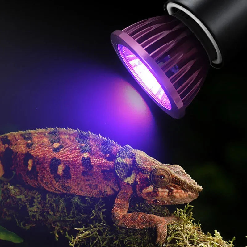 Reptile 110/220V Night Lamp Imitation Moonlight Light Night Sleep Lighting Lamp for Turtle Lizard Snake Reptile Amphibian