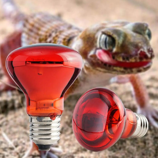 E27 Reptile Bulb Heating Night Light Daylight UVA 55g Ceramic Heating Lamp Simulates UVA In Natural Sunlight Meet Lighting Needs