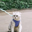 No Pull Pet Harness Dog Vest Harness Breathable Reflective Strips Harness Comfortable Adjustable Soft Padded Harness For Dogs