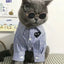 Anti-slip Cat Sunglasses Pet Accessories Small Dog Sun Glasses Classic Retro Circular Glasses for Kitten Photos Props Cosplay